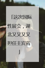 这次国际性展会，湖北又又又又担任主宾省