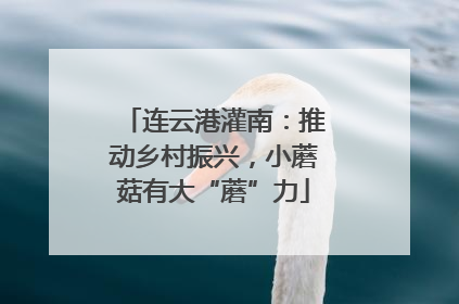 连云港灌南：推动乡村振兴，小蘑菇有大“蘑”力
