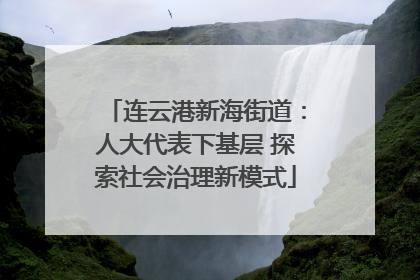 连云港新海街道：人大代表下基层 探索社会治理新模式