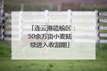 连云港赣榆区：50余万亩小麦陆续进入收割期