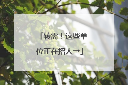 转需！这些单位正在招人→