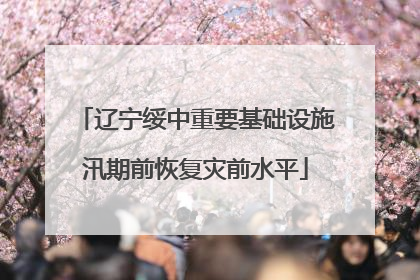 辽宁绥中重要基础设施汛期前恢复灾前水平