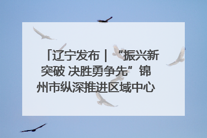 辽宁发布｜“振兴新突破 决胜勇争先”锦州市纵深推进区域中心城市建设 打造高质量发展新增长极