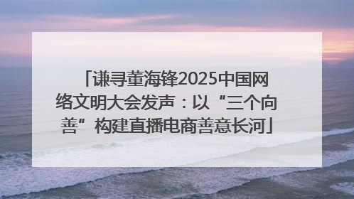 谦寻董海锋2025中国网络文明大会发声：以“三个向善”构建直播电商善意长河