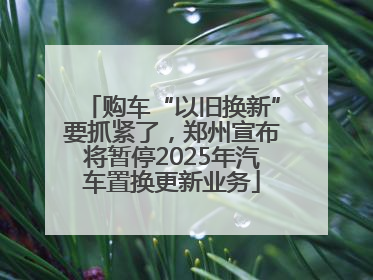 购车“以旧换新”要抓紧了，郑州宣布将暂停2025年汽车置换更新业务