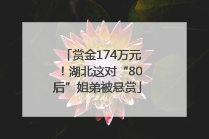 赏金174万元！湖北这对“80后”姐弟被悬赏