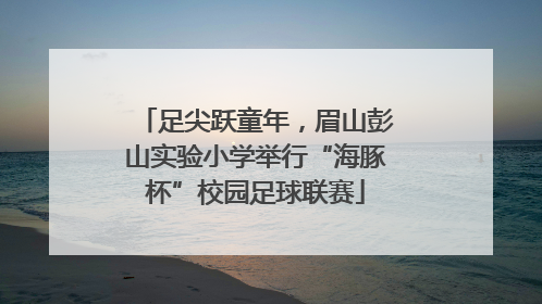 足尖跃童年，眉山彭山实验小学举行“海豚杯”校园足球联赛