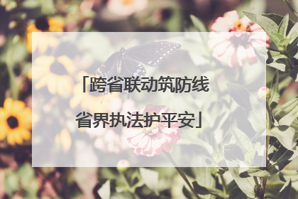 跨省联动筑防线 省界执法护平安
