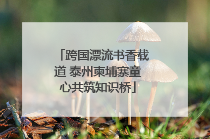 跨国漂流书香载道 泰州柬埔寨童心共筑知识桥