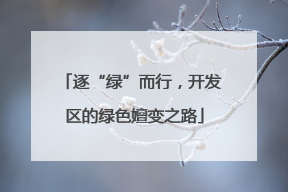 逐“绿”而行，开发区的绿色嬗变之路