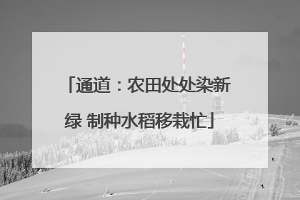 通道：农田处处染新绿 制种水稻移栽忙