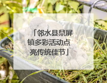 邻水县鼎屏镇多彩活动点亮传统佳节