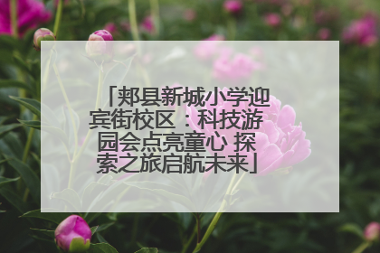 郏县新城小学迎宾街校区：科技游园会点亮童心 探索之旅启航未来