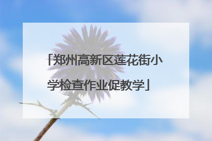 郑州高新区莲花街小学检查作业促教学