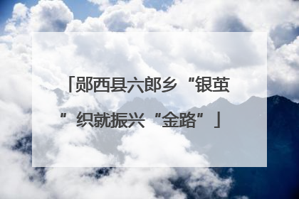 郧西县六郎乡“银茧”织就振兴“金路”