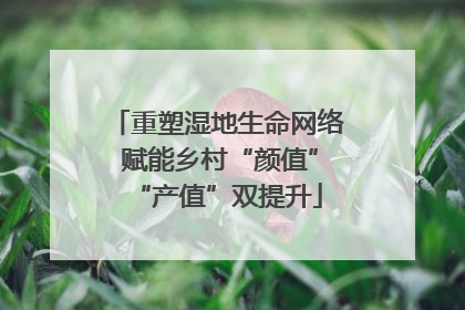 重塑湿地生命网络 赋能乡村“颜值”“产值”双提升