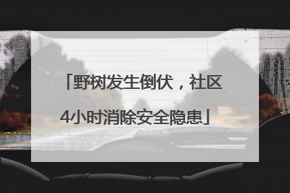 野树发生倒伏，社区4小时消除安全隐患