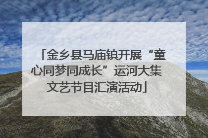 金乡县马庙镇开展“童心同梦同成长”运河大集文艺节目汇演活动