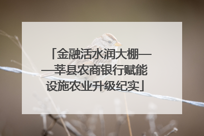 金融活水润大棚——莘县农商银行赋能设施农业升级纪实