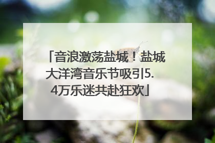 音浪激荡盐城！盐城大洋湾音乐节吸引5.4万乐迷共赴狂欢