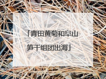 青田黄菊和阜山笋干组团出海