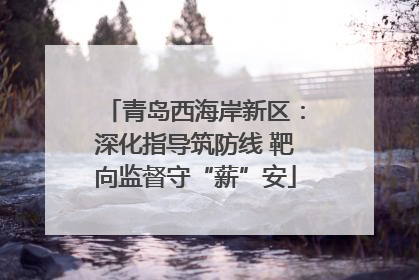 青岛西海岸新区：深化指导筑防线 靶向监督守“薪”安