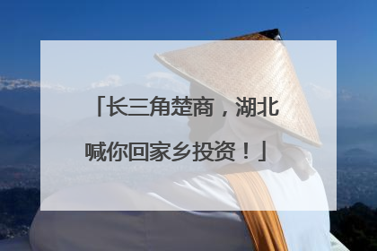 长三角楚商，湖北喊你回家乡投资！
