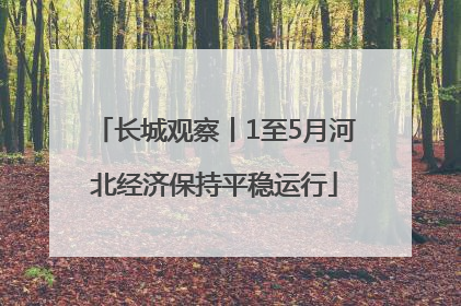 长城观察丨1至5月河北经济保持平稳运行