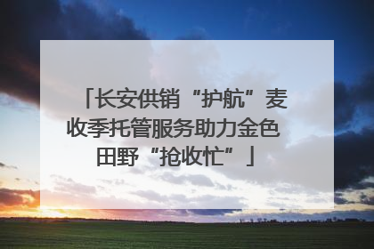 长安供销“护航”麦收季托管服务助力金色田野“抢收忙”