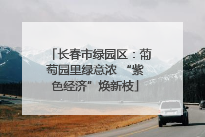 长春市绿园区：葡萄园里绿意浓 “紫色经济”焕新枝