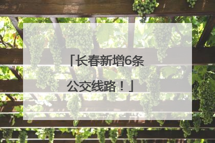 长春新增6条公交线路！