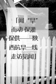 闻“旱”而动 保灌保供——陕西抗旱一线走访见闻