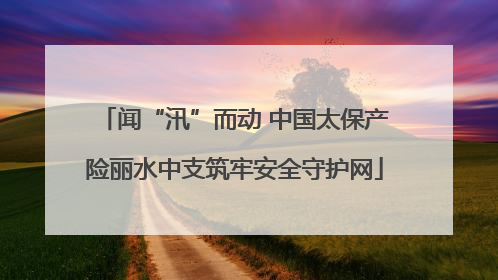 闻“汛”而动 中国太保产险丽水中支筑牢安全守护网