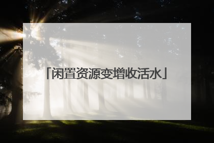 闲置资源变增收活水