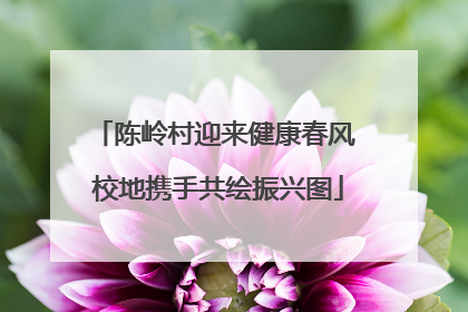 陈岭村迎来健康春风 校地携手共绘振兴图