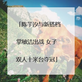 陈芋汐与新搭档掌敏洁出战 女子双人十米台夺冠