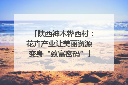 陕西神木铧西村：花卉产业让美丽资源变身“致富密码”