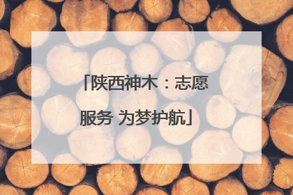 陕西神木：志愿服务 为梦护航