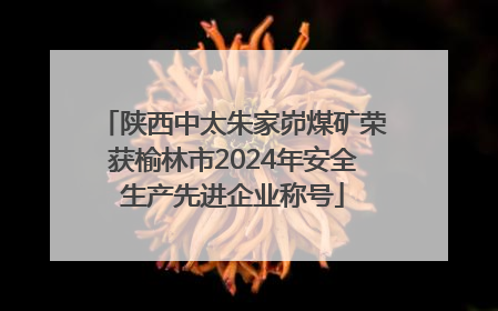 陕西中太朱家峁煤矿荣获榆林市2024年安全生产先进企业称号