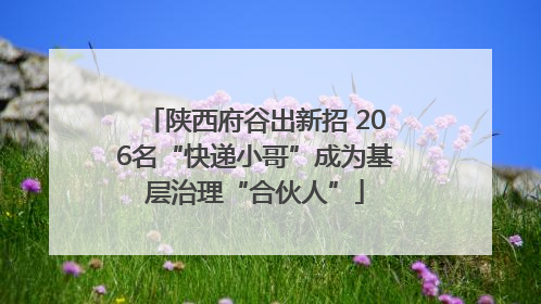 陕西府谷出新招 206名“快递小哥”成为基层治理“合伙人”