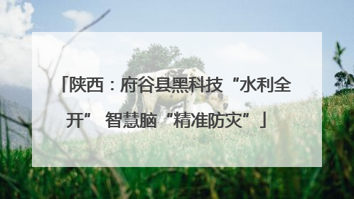陕西：府谷县黑科技“水利全开” 智慧脑“精准防灾”