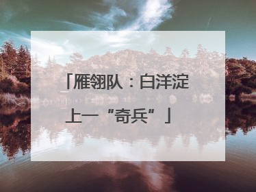 雁翎队：白洋淀上一“奇兵”