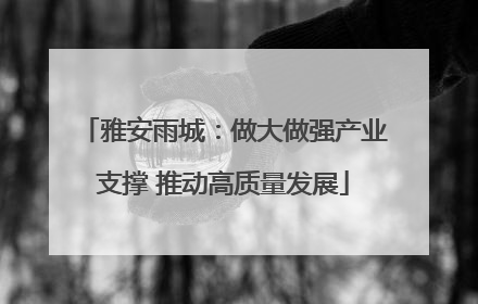 雅安雨城：做大做强产业支撑 推动高质量发展