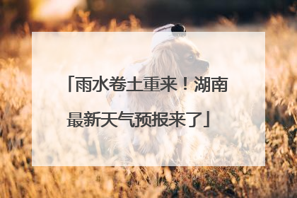 雨水卷土重来！湖南最新天气预报来了