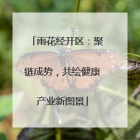 雨花经开区：聚链成势，共绘健康产业新图景