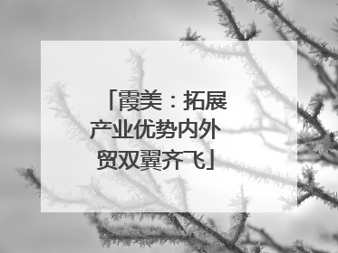 霞美：拓展产业优势内外贸双翼齐飞