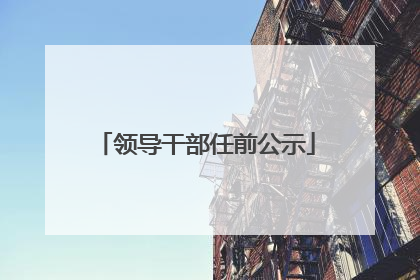 领导干部任前公示