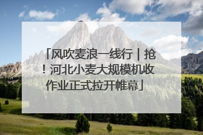 风吹麦浪一线行｜抢！河北小麦大规模机收作业正式拉开帷幕