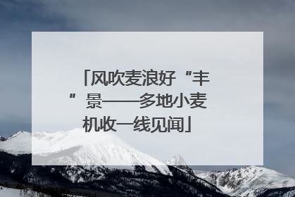风吹麦浪好“丰”景——多地小麦机收一线见闻
