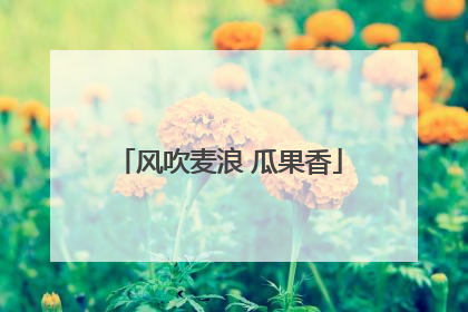 风吹麦浪 瓜果香